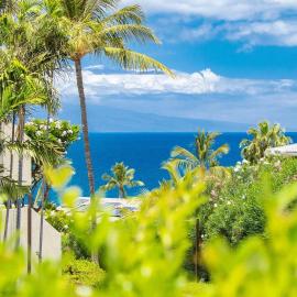 Limited Summer Deals! Ocean View at Maui Kamaole, hotel in Wailea