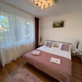 Zen Apartment 1, ξενοδοχείο σε Satu Mare