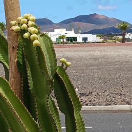 Casa Los Volcanes, hotel u gradu 'Uga'