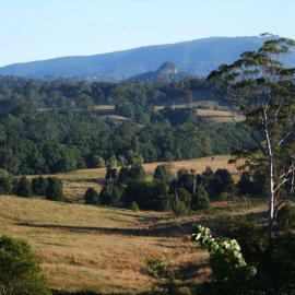 Nimbin में, होटल Grey Gum Lodge