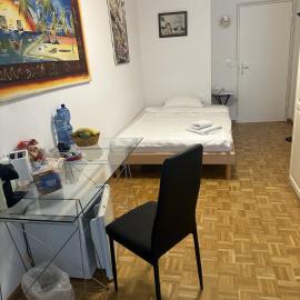 Schönes Zimmer in der City Basel, Hotel in Basel