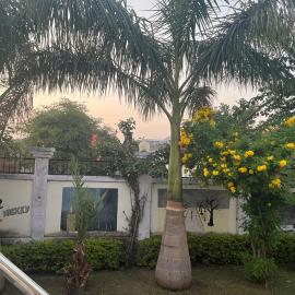 Sunrise Bed & Breakfast, hotel in Khajurāho