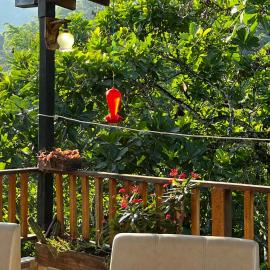 Hostal Los Wichos
