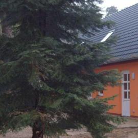 Ferienhaus Jägerswalde