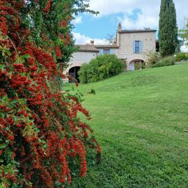 Agriturismo del Frontino - Lo Studio โรงแรมในอัคกวาลาญา