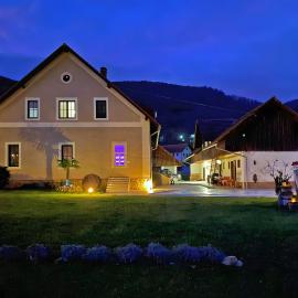 The old Village Villa At 2 Geese with Pool, hotel Pišece városában