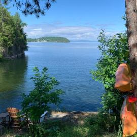 Finlays Cove on the Lake, hotel Colchesterben