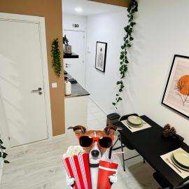 Cine Studios Setubal, hotelli kohteessa Setúbal