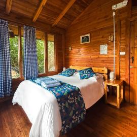 Mindo में, होटल Hotel El Abrazo del Arbol