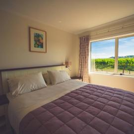Syrah Suite Unison Vineyard