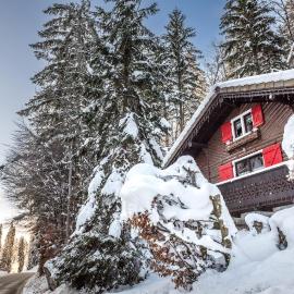 Le Petit Rêve - Lac de Montriond, hotel in Montriond