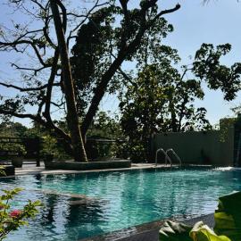 Sapiens home - Weligama bay