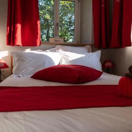 Chambre Jonquille avec entrée privée et animaux admis - FR-1-589-718