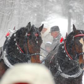 Koperkowe Rancho Beskid Wyspowy Domek Małopolskie KAMIONNA