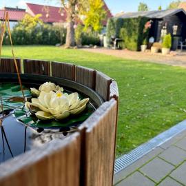 Charmantes Haus - ein kleines Juwel für Auszeiten, hotel ad Ahlen