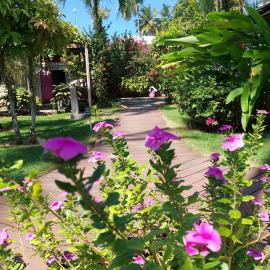 Hotel Casa Robinson, hotel u gradu 'Las Terrenas'