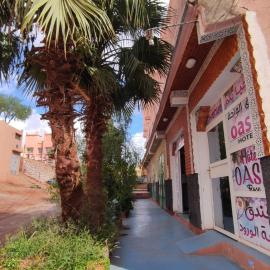Hotel Oasis Tinghir