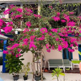 Kendhoo holidays, hotel v destinácii Kendhoo