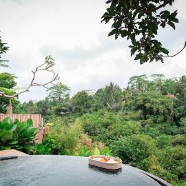 Pondok Dedari villa