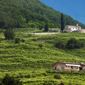 Agriturismo B&B Casa Bortolin