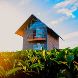 Cloud Canopy - Tea Garden Family Pool Cottage in Vagamon, Hotel in Vagamon
