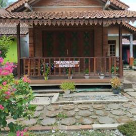 Dragonflies Homestay, hotell i Kembanglimus
