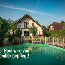 Ferienhaus MountFrosch mit Sauna und Naturpool