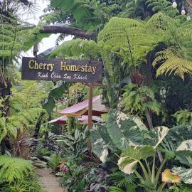 Cherry HomeStay & coffee、Buôn Ðũngのホテル