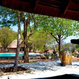 Timbila Game Lodge - Welcome to Land of Leopards and Buffalo، فندق في بهالابوروا