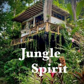Jungle Spirit Treehouse, hotel din Cahuita