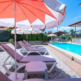 Villa Palm Tree