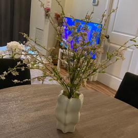 Cozy Room in a Townhouse Mississauga, Ontario canada