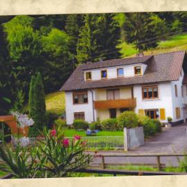 Fewo-Monteurwohnung Steger
