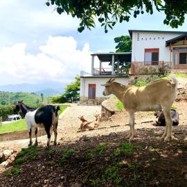 Amazi Land Home and Farm Stay, hotell i Kibuye