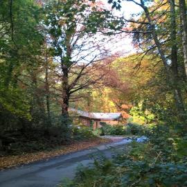 The Shack, Cally Avenue, Gatehouse of Fleet, Dumfries and Galloway, DG7 2 DH