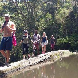 Jungle Monkey Backpackers, hotel em Port St Johns