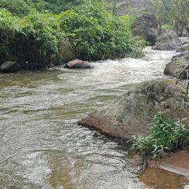 Suryas Home Stay, Hotel in Devikolam