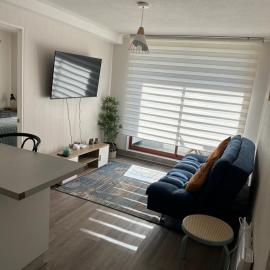 Depto Nuevo Chillan Centro 2D-2B-E privado, hotell i Chillán