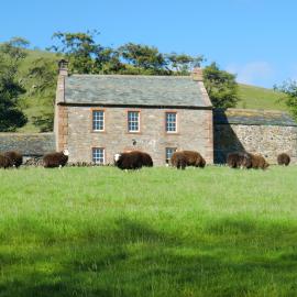 The Dash Farmhouse、バセンスウェイトのホテル