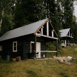 Rustic Woodland Cabin at Beaverfoot, hotel in Parson