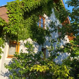 Ferienwohnung in der Thermenregion、Ilzのホテル