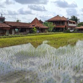 Alamanda Villas, Family Villas, Pool & Local Tours, hotell sihtkohas Yogyakarta
