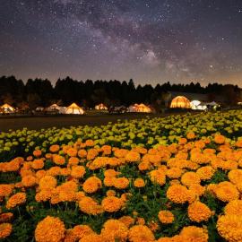 くじゅう花公園 グランピングパーク花と星, hotel u gradu Kuju