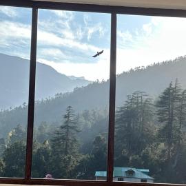 Whistling Pines Homestay