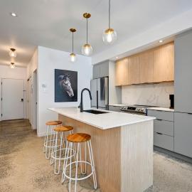 Élégant 2ch 2sdb Beau Quartier de Montréal présenté par TripMontreal IV