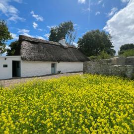 Goggin Cottage, hotel in New Kildimo