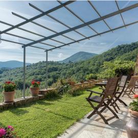 Villa Porcigliano Olive Grove