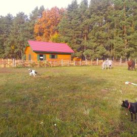 Agroturystyka Polana Harmonii, hotel u gradu Przytoczna 