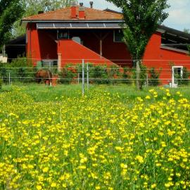 Agriturismo Adriano Pedretti، فندق في Badia Polesine