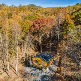 The Wilderness Cabin - Shenandoah Getaway - HotTub, Arcade, RiverAccess, מלון בשננדואה